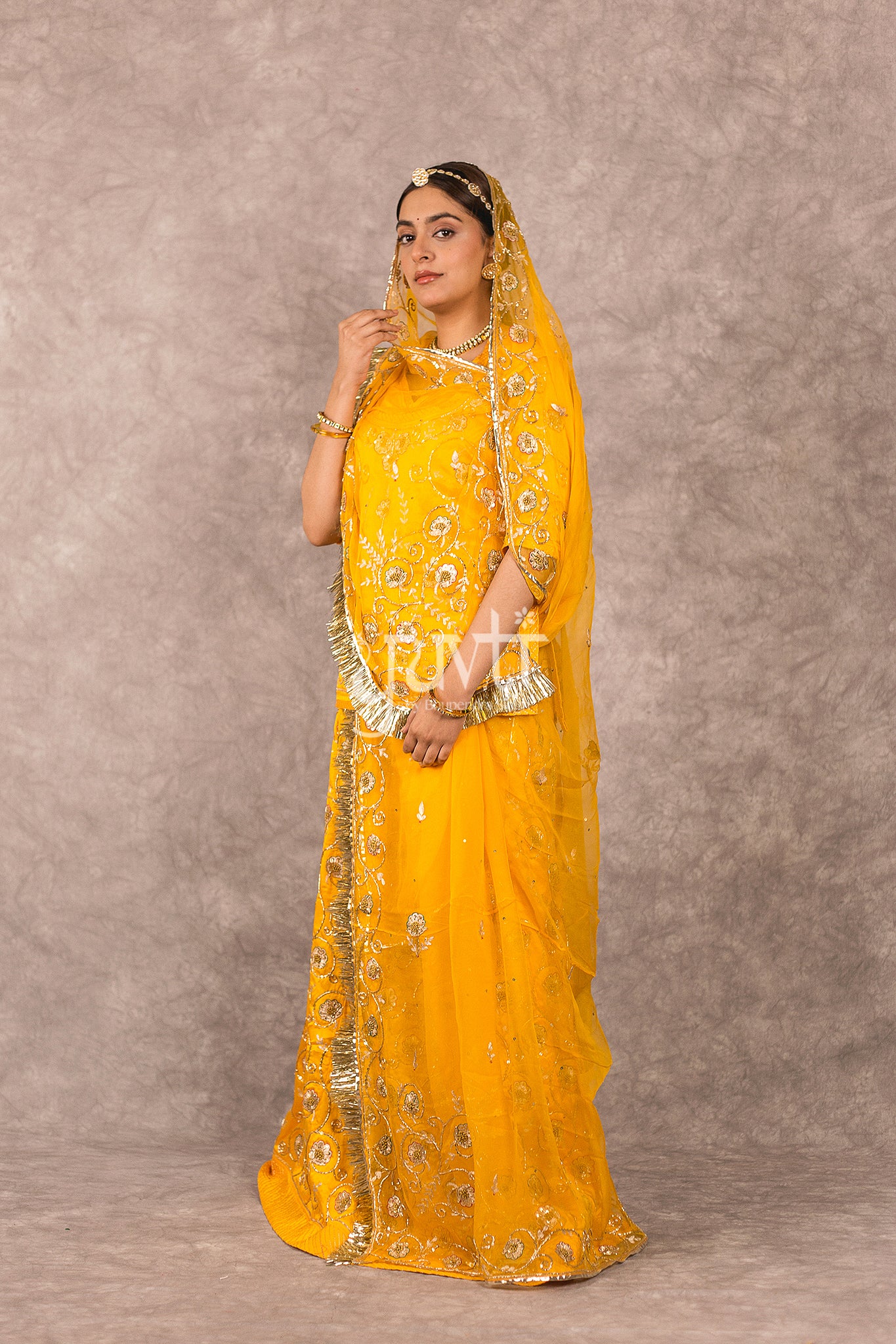 Yellow Aari Sequins Salma Jaal work Bamber satin Rajputi Poshak