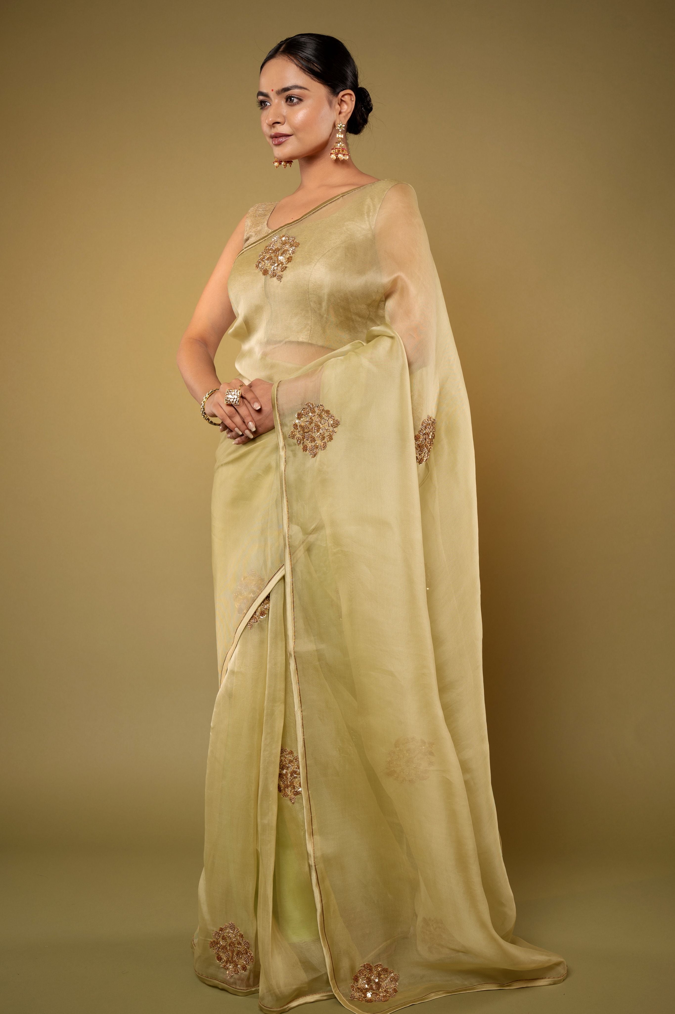Pista Green Organza  Zardozi Motif handwork saree