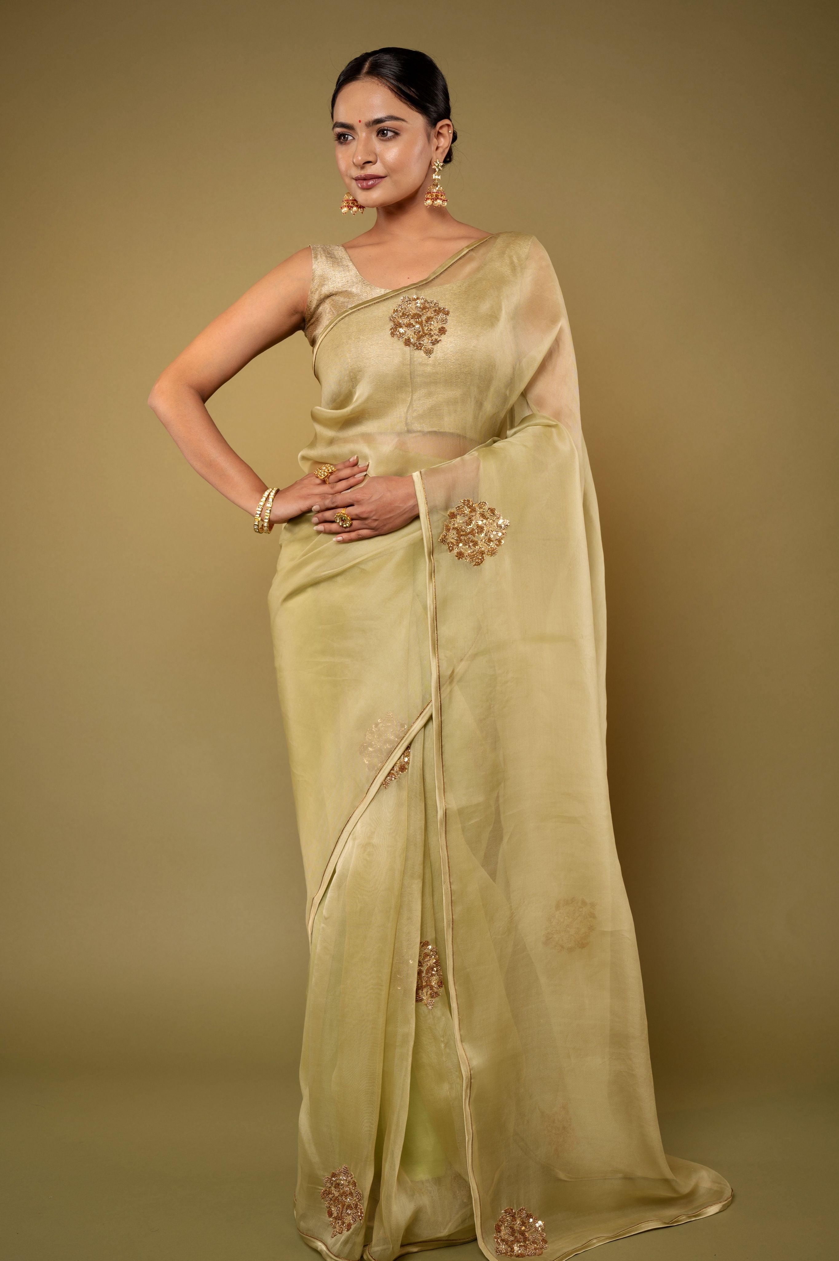 Pista Green Organza  Zardozi Motif handwork saree