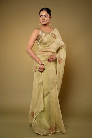 Antique Flower Organza Saree