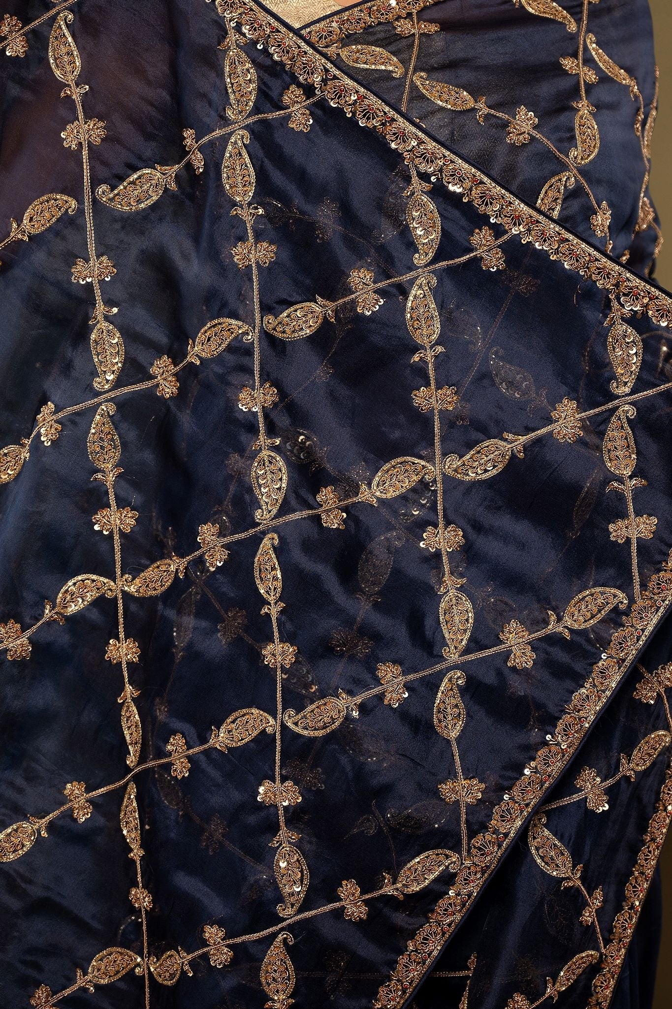 Blue pure organza Dori Dapka sequins  jaal handwork saree