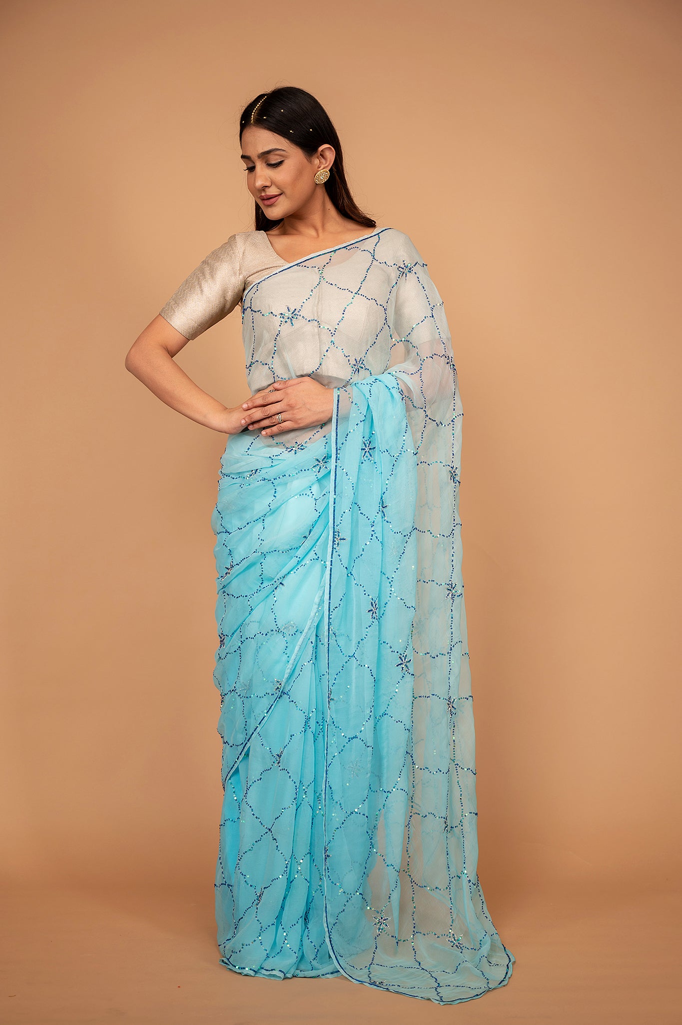 Sky blue light dark viscose chiffon sequins jaal handwork casual wear saree