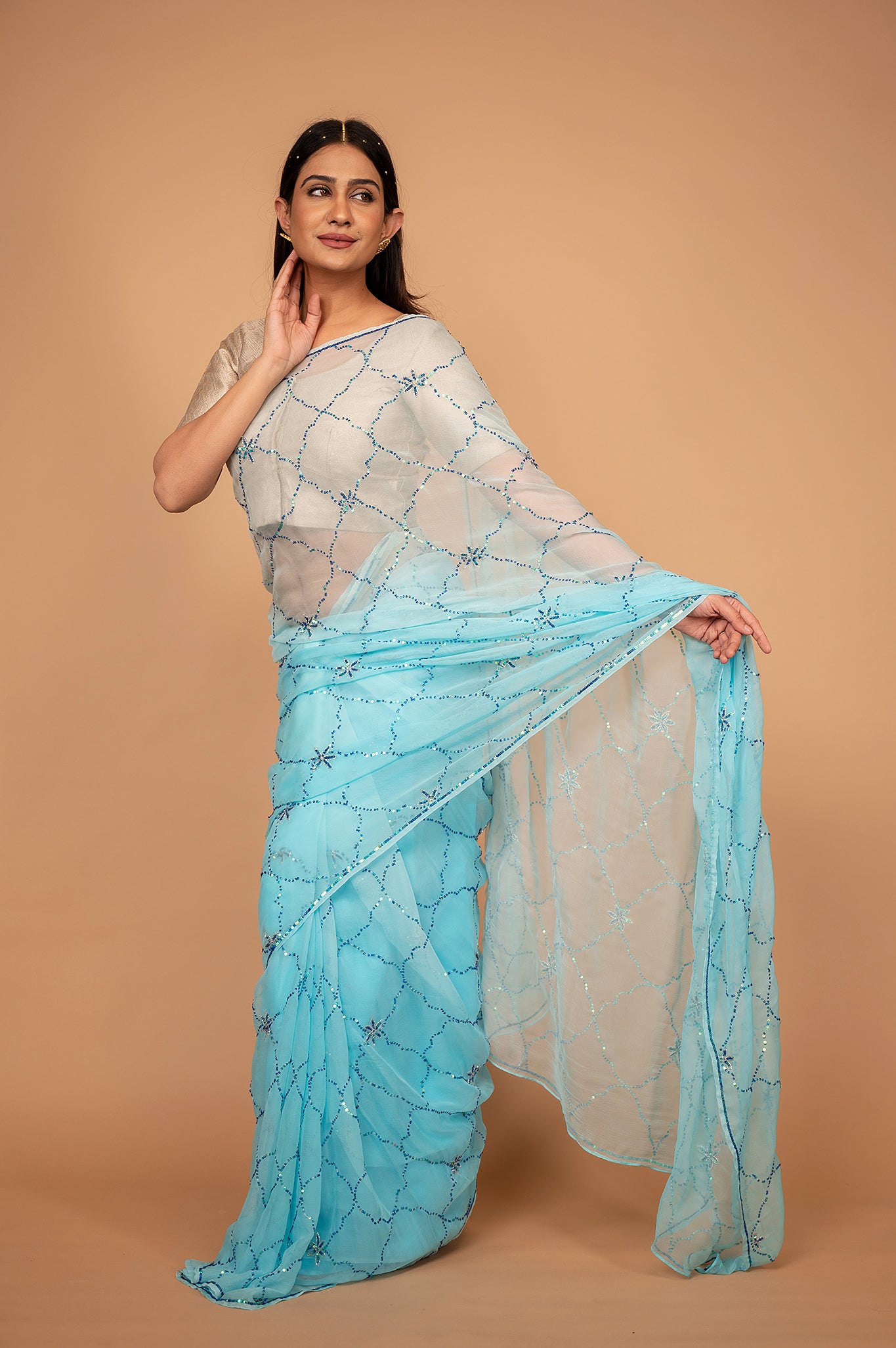 Sky blue light dark viscose chiffon sequins jaal handwork casual wear saree