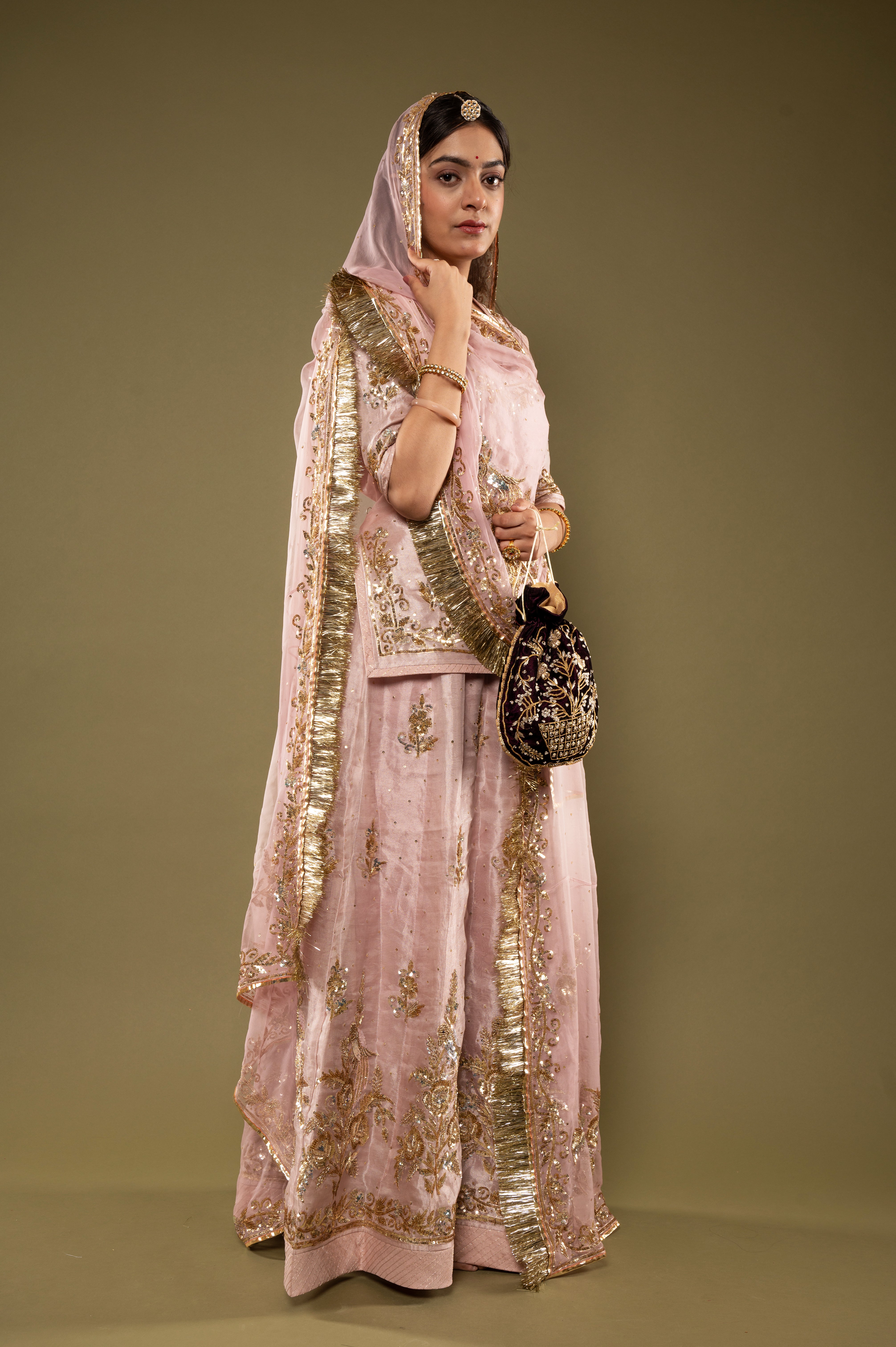 Light Pink Pure Tissue Sequins Kardana Zardozi Border Butti handwork Rajputi Poshak  with Pure odhna