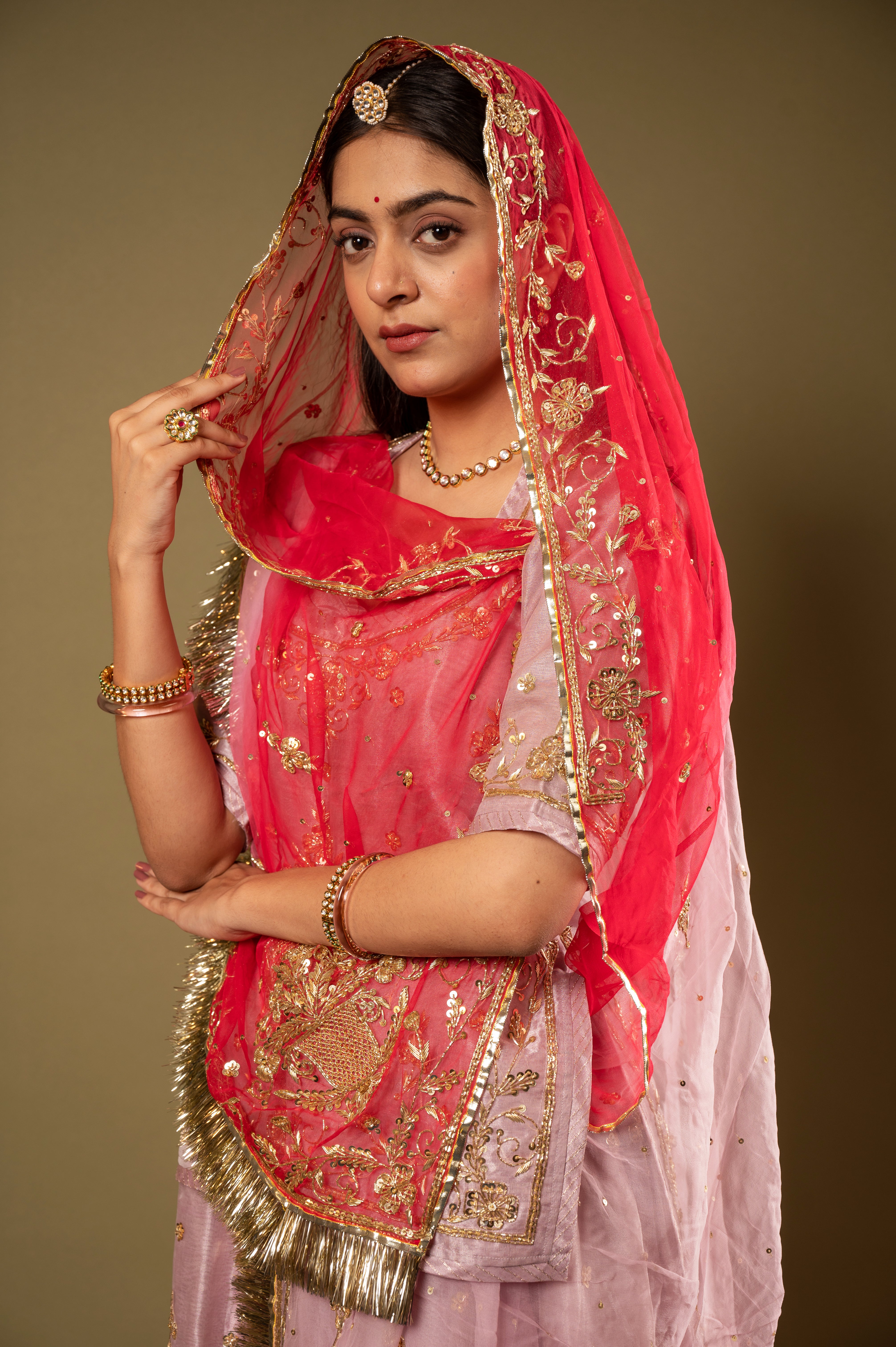 Pink Shaded Odhana Pure Tissue Zardozi Border butti handwork Rajputi Poshak  with Pure odhna