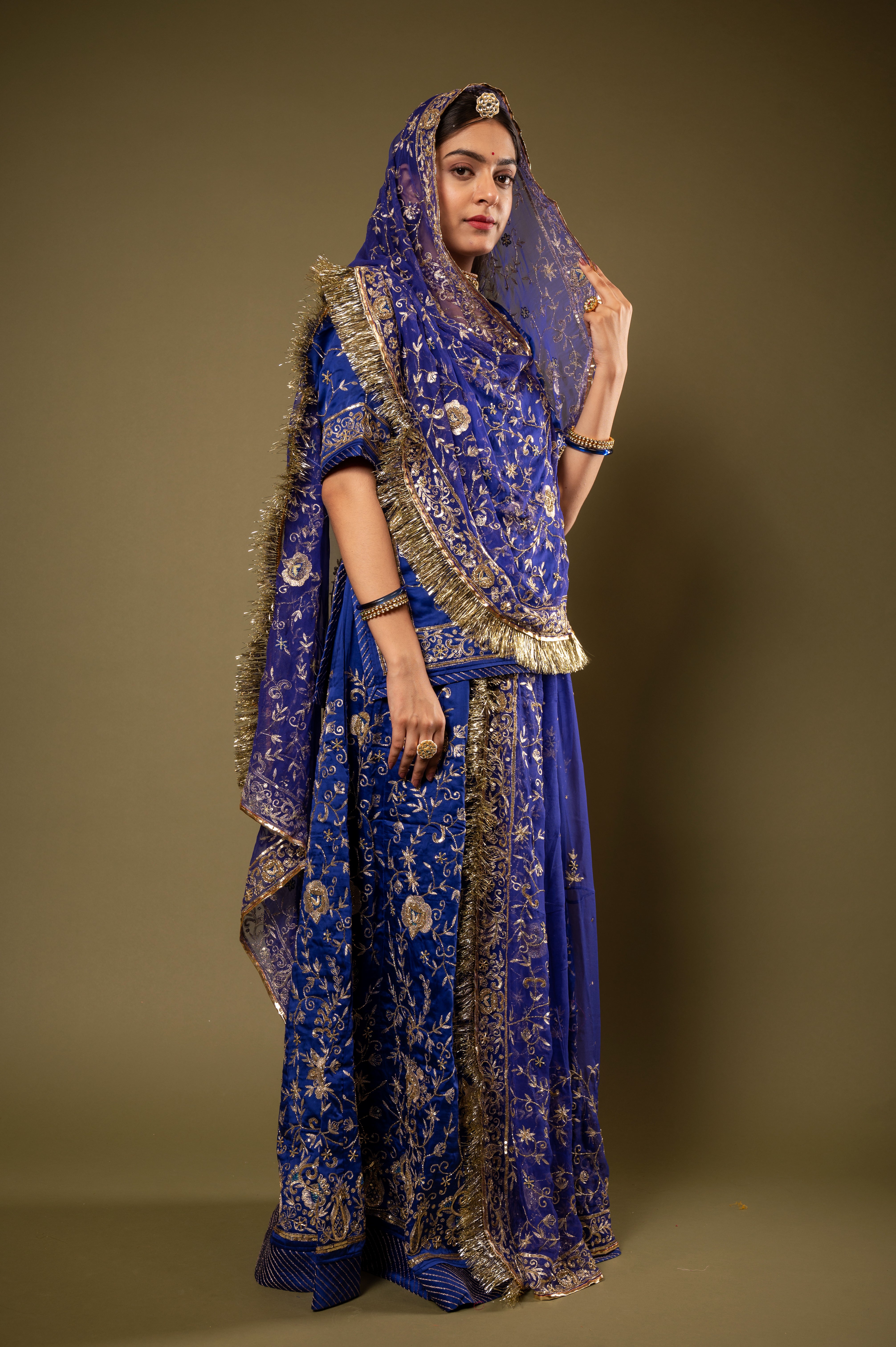 Blue light dark bamber satin Aari Kardana Sequins Jaal handwork Rajputi Poshak  with Pure odhna