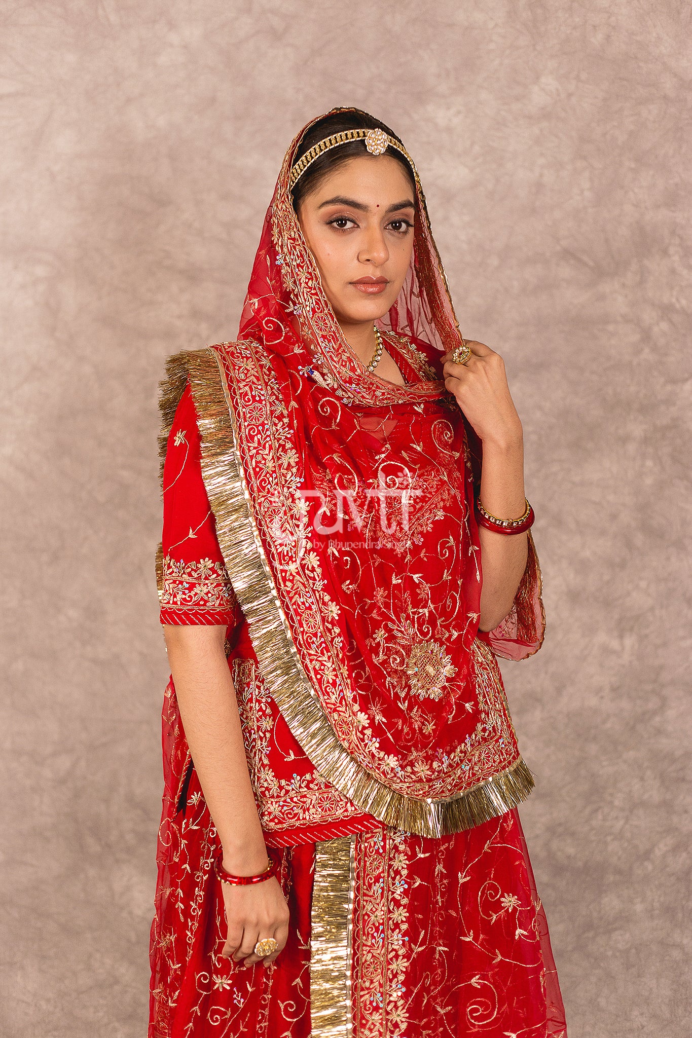 Red Pure Georgette Aari Zardosi Jaal Work Rajputi Poshak