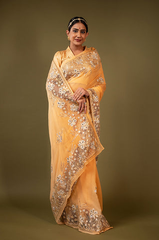 Pistachio Pure Chiffon Cutt Work Saree