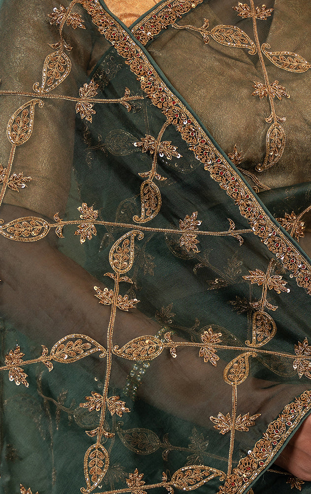 green organza  zardozi jaal handwork saree